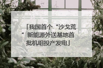 我国首个“沙戈荒”新能源外送基地首批机组投产发电