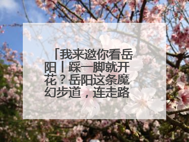 我来邀你看岳阳丨踩一脚就开花？岳阳这条魔幻步道，连走路都变得好玩！