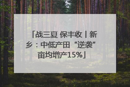 战三夏 保丰收丨新乡：中低产田“逆袭” 亩均增产15%