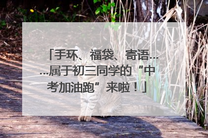 手环、福袋、寄语……属于初三同学的“中考加油跑”来啦！
