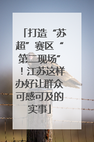 打造“苏超”赛区“第二现场”！江苏这样办好让群众可感可及的实事