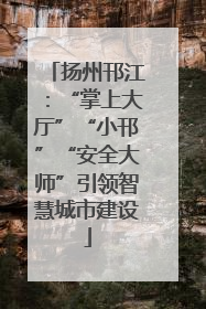 扬州邗江：“掌上大厅”“小邗”“安全大师”引领智慧城市建设