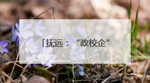 抚远：“政校企”共育电商人才 打通东极特色产销链