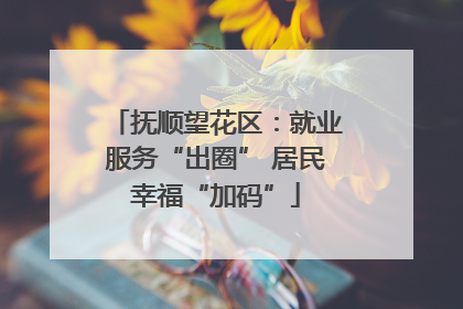 抚顺望花区：就业服务“出圈” 居民幸福“加码”