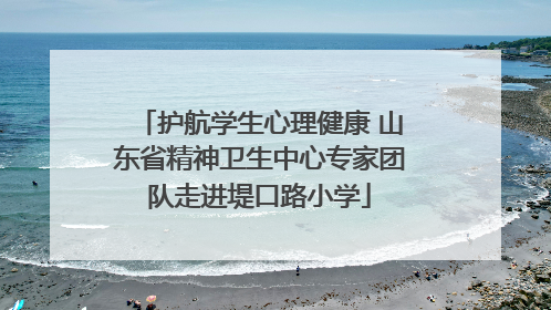 护航学生心理健康 山东省精神卫生中心专家团队走进堤口路小学