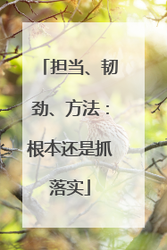 担当、韧劲、方法：根本还是抓落实