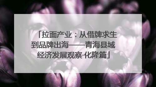 拉面产业：从借牌求生到品牌出海——青海县域经济发展观察·化隆篇