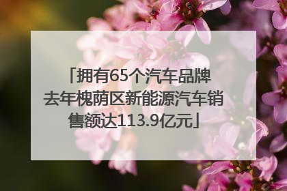 拥有65个汽车品牌 去年槐荫区新能源汽车销售额达113.9亿元