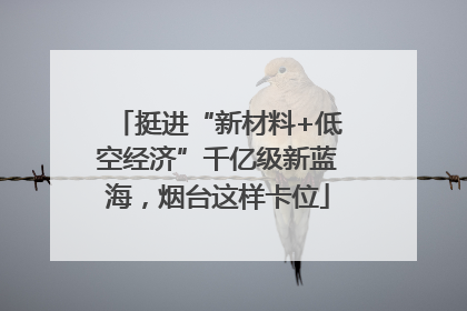挺进“新材料+低空经济”千亿级新蓝海，烟台这样卡位