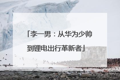 李一男：从华为少帅到锂电出行革新者