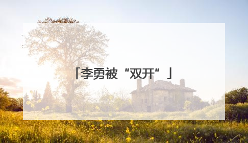 李勇被“双开”