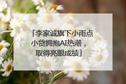 李家诚旗下小雨点小贷拥抱AI热潮，取得亮眼成绩