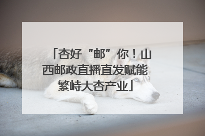 杏好“邮”你！山西邮政直播直发赋能繁峙大杏产业