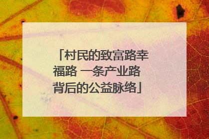 村民的致富路幸福路 一条产业路背后的公益脉络