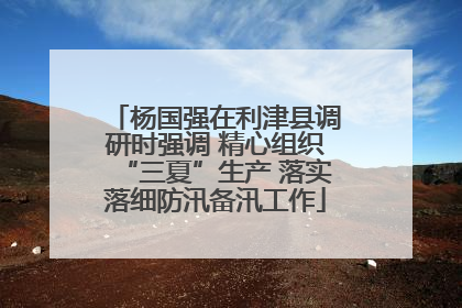 杨国强在利津县调研时强调 精心组织“三夏”生产 落实落细防汛备汛工作