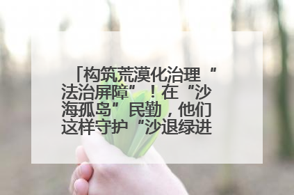 构筑荒漠化治理“法治屏障”！在“沙海孤岛”民勤，他们这样守护“沙退绿进”的生态奇迹