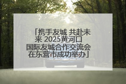 携手友城 共赴未来 2025黄河口国际友城合作交流会在东营市成功举办
