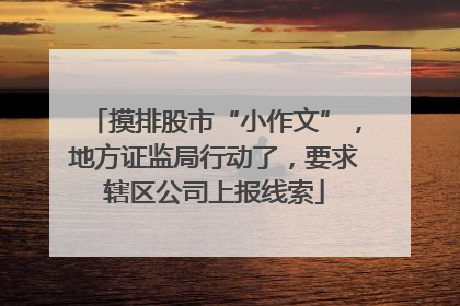 摸排股市“小作文”，地方证监局行动了，要求辖区公司上报线索
