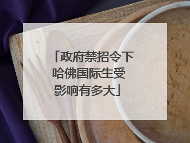 政府禁招令下 哈佛国际生受影响有多大