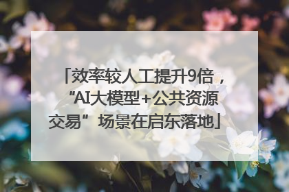 效率较人工提升9倍，“AI大模型+公共资源交易”场景在启东落地