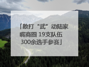散打“武”动陆家嘴商圈 19支队伍300余选手参赛