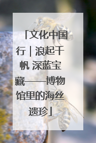 文化中国行｜浪起千帆 深蓝宝藏——博物馆里的海丝遗珍