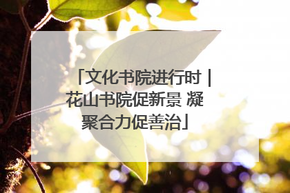 文化书院进行时｜花山书院促新景 凝聚合力促善治
