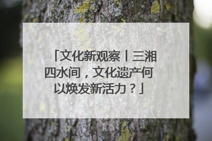 文化新观察丨三湘四水间，文化遗产何以焕发新活力？