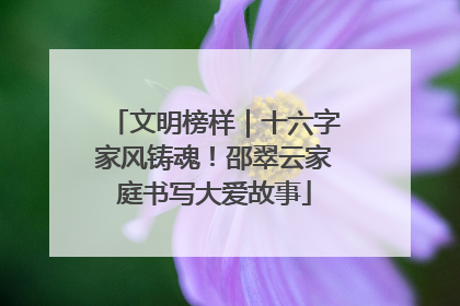 文明榜样｜十六字家风铸魂！邵翠云家庭书写大爱故事