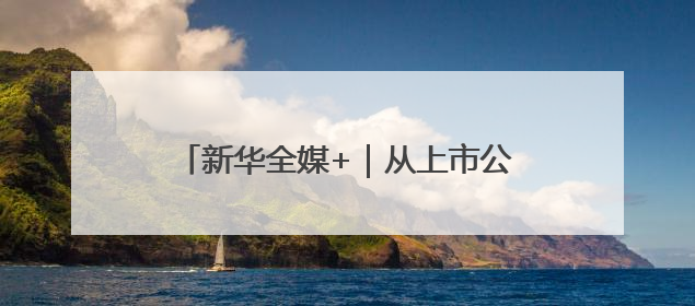 新华全媒+｜从上市公司一季报“含新量”看中国经济发展向“新”