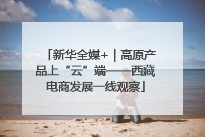 新华全媒+｜高原产品上“云”端——西藏电商发展一线观察
