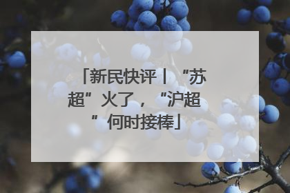 新民快评丨“苏超”火了，“沪超”何时接棒