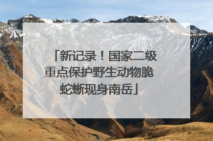 新记录！国家二级重点保护野生动物脆蛇蜥现身南岳