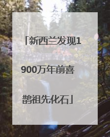 新西兰发现1900万年前喜鹊祖先化石