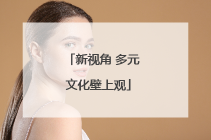 新视角 多元文化壁上观
