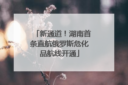 新通道！湖南首条直航俄罗斯危化品航线开通