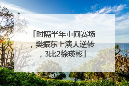 时隔半年重回赛场，樊振东上演大逆转，3比2徐瑛彬
