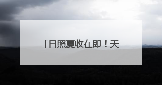 日照夏收在即！天气影响几何？气象台权威解读来了