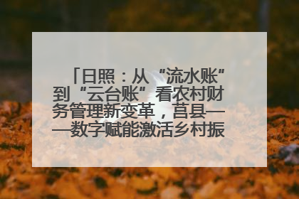 日照：从“流水账”到“云台账”看农村财务管理新变革，莒县——数字赋能激活乡村振兴“一池春水”