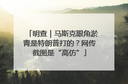明查｜马斯克眼角淤青是特朗普打的？网传截图是“高仿”
