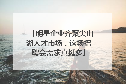 明星企业齐聚尖山湖人才市场，这场招聘会需求真挺多
