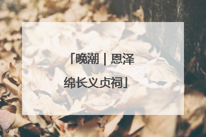 晚潮｜恩泽绵长义贞祠