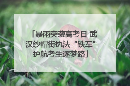 暴雨突袭高考日 武汉纱帽街执法“铁军”护航考生逐梦路