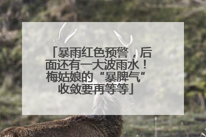 暴雨红色预警，后面还有一大波雨水！梅姑娘的“暴脾气”收敛要再等等