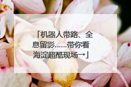 机器人带路、全息留影……带你看海淀超酷现场→