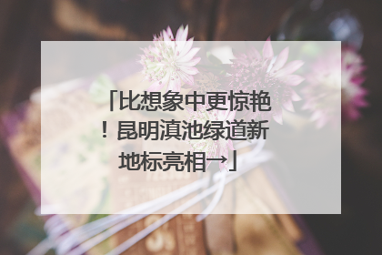 比想象中更惊艳！昆明滇池绿道新地标亮相→
