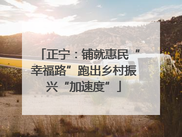 正宁：铺就惠民“幸福路”跑出乡村振兴“加速度”