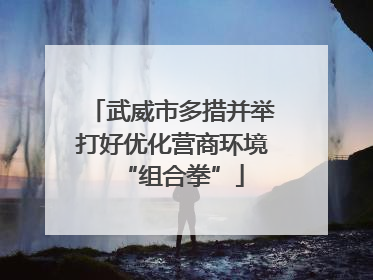 武威市多措并举打好优化营商环境“组合拳”