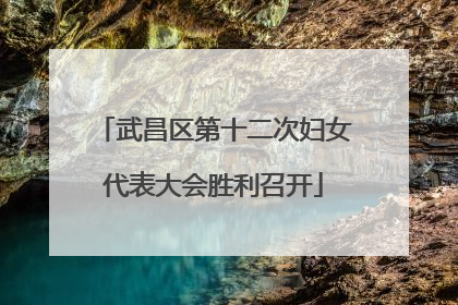 武昌区第十二次妇女代表大会胜利召开