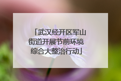 武汉经开区军山街道开展节前环境综合大整治行动